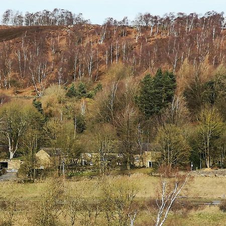 Robin Hood Farm B&B Баслоу Екстериор снимка