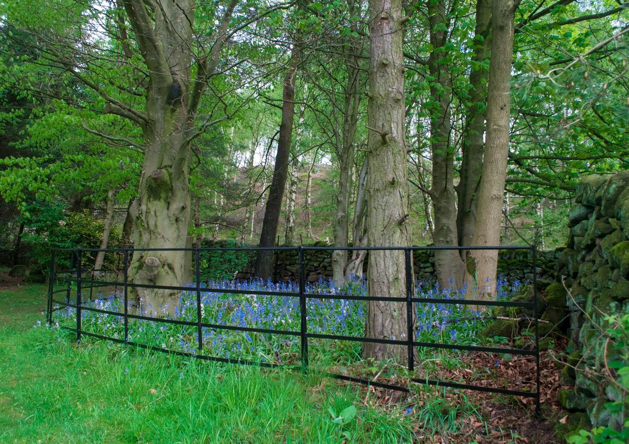 Robin Hood Farm B&B Баслоу Екстериор снимка